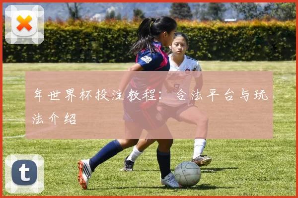 年世界杯投注教程：合法平台与玩法介绍