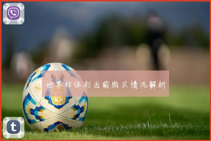 世界杯体彩当前购买情况解析
