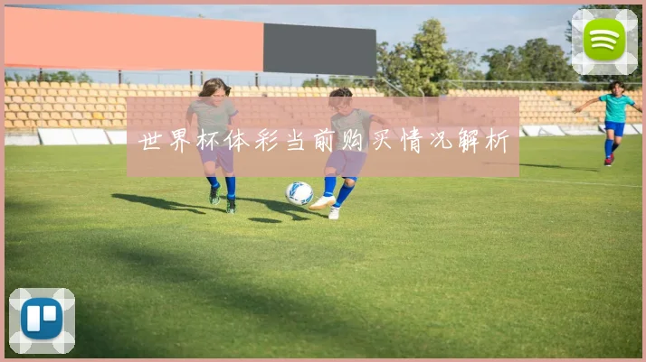 世界杯体彩当前购买情况解析