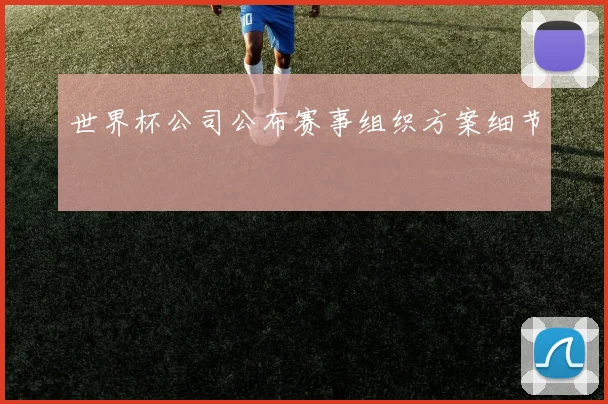 世界杯公司公布赛事组织方案细节